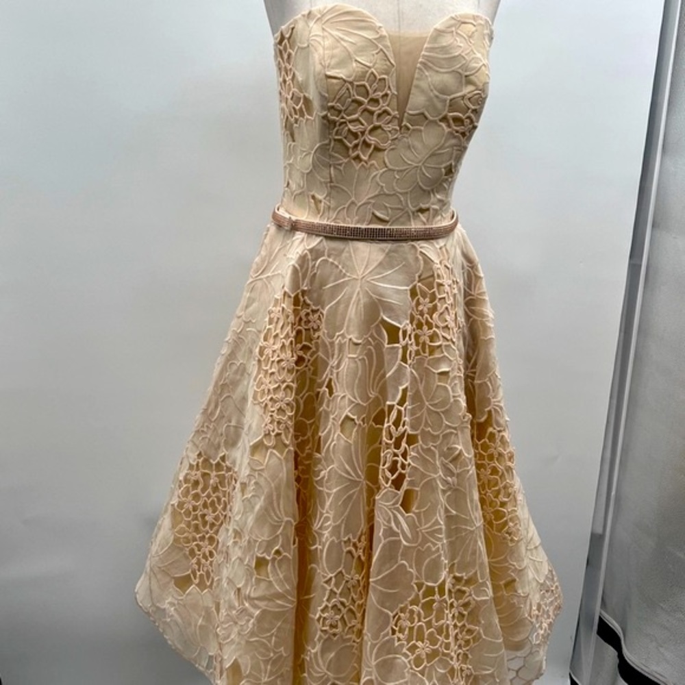 Lucian Matis Women's Strapless Beige  Sheath Dress Size 6 style SP2220